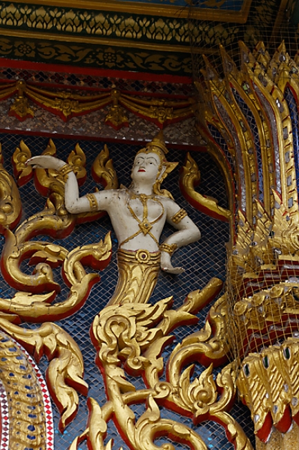 Talin chan-NOV13-114